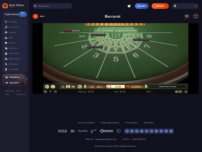 Rich Palms Casino 27.06.2024. Game3