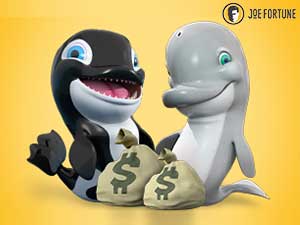 photo of Joe Fortune